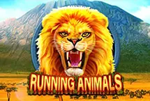 Running Animals