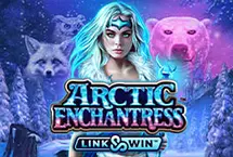 Arctic Enchantress