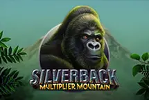 Silverback Multiplier Mountain